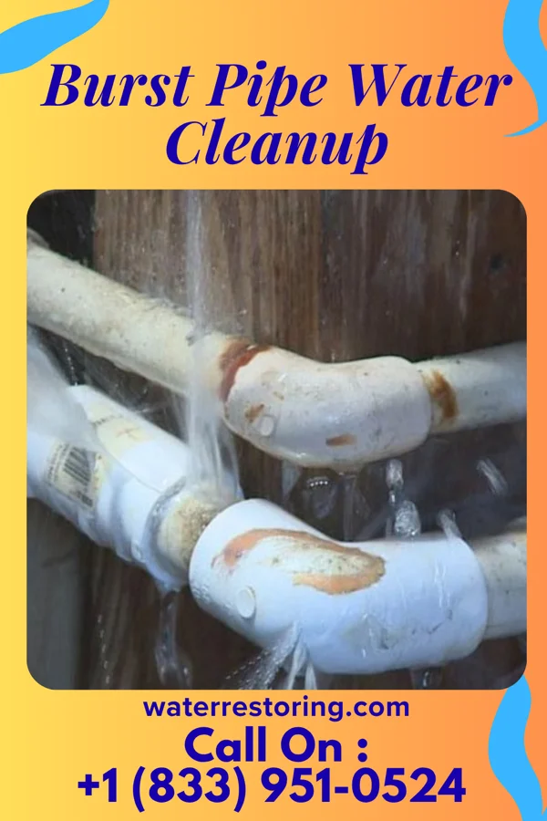 Burst Pipe Water Cleanup in Lafayette, IN