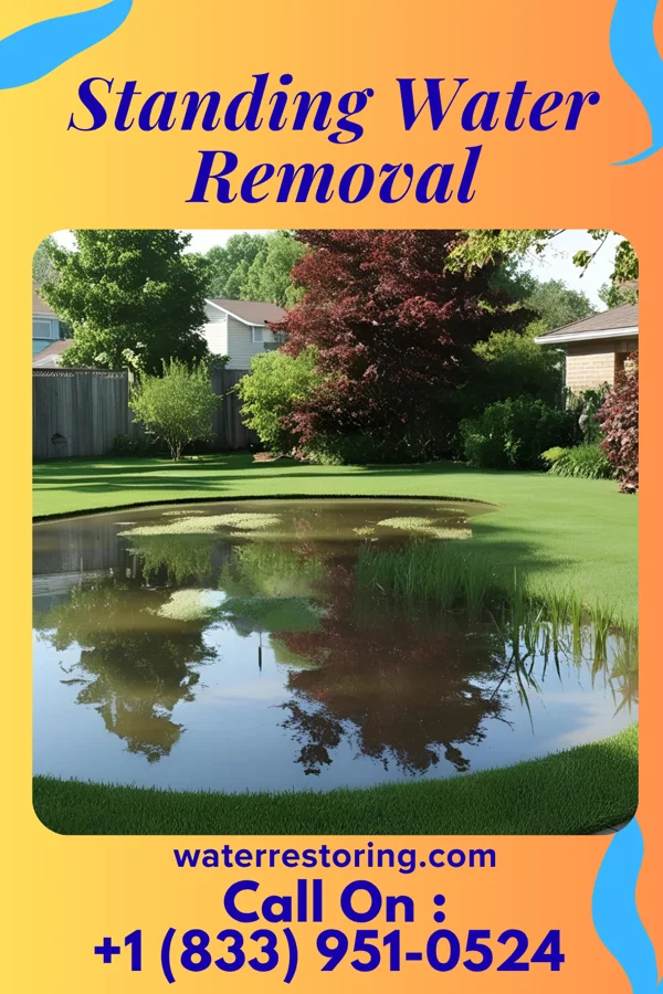 Standing Water Removal in Lafayette, IN